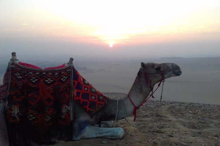 Giza Pyramids Sunset Camel Ride & Bedouin Tea Experience photo 3