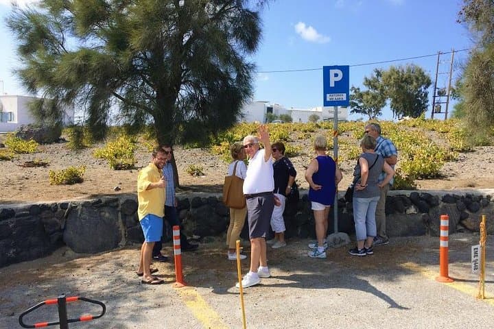 Small Group Santorini Winery Tour: Taste Santorini's Volcanic Wines photo 4
