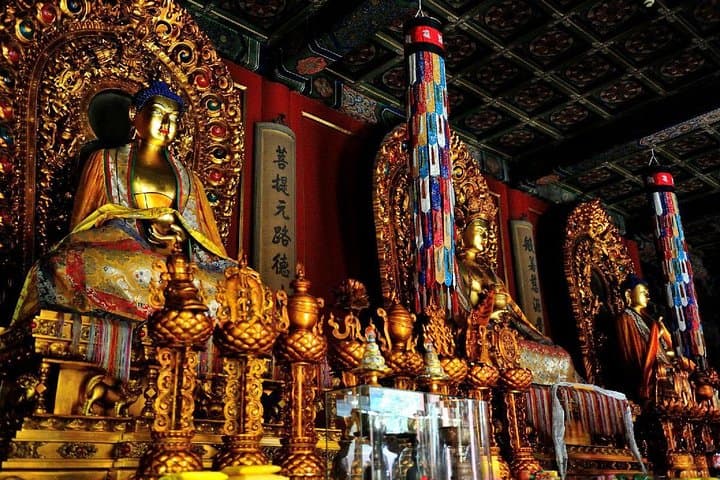 Beijing Private Walking Tour: Lama Temple, Tiananmen & Forbidden City photo 3