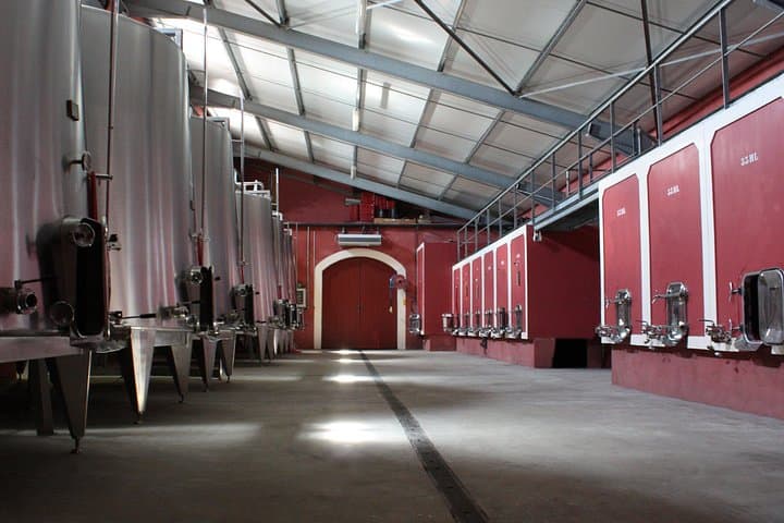 Château de la Selve Domain Visit — Organic Wine Tour in Southern Ardèche