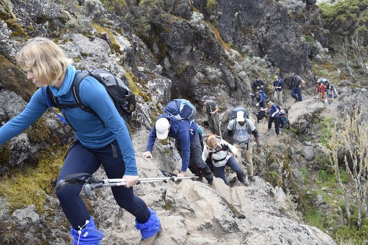Machame Route 6-Day Kilimanjaro Climb: A Practical Guide to Summit Uhuru Peak