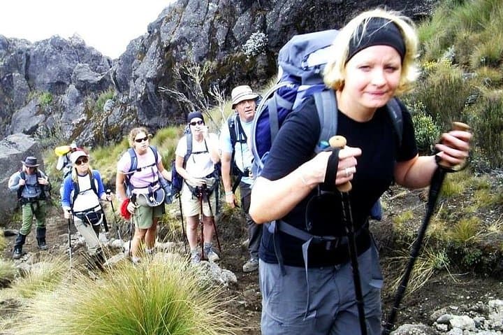 Lemosho Route 8-Day Kilimanjaro Climb: Itinerary, Summit Strategy & Practical Guide