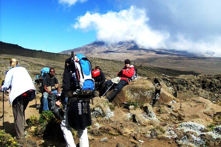 Lemosho Route 8-Day Kilimanjaro Climb: Itinerary, Summit Strategy & Practical Guide photo 2