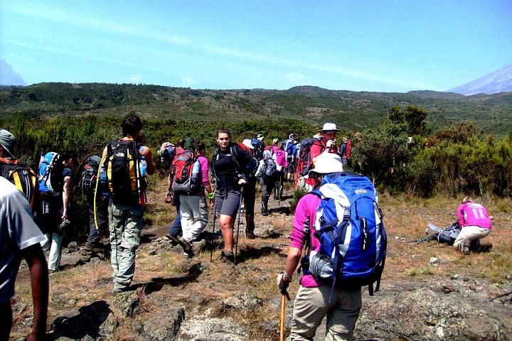 Rongai Route Kilimanjaro: 6-Day Guide to Summiting via Nale Moru photo 2