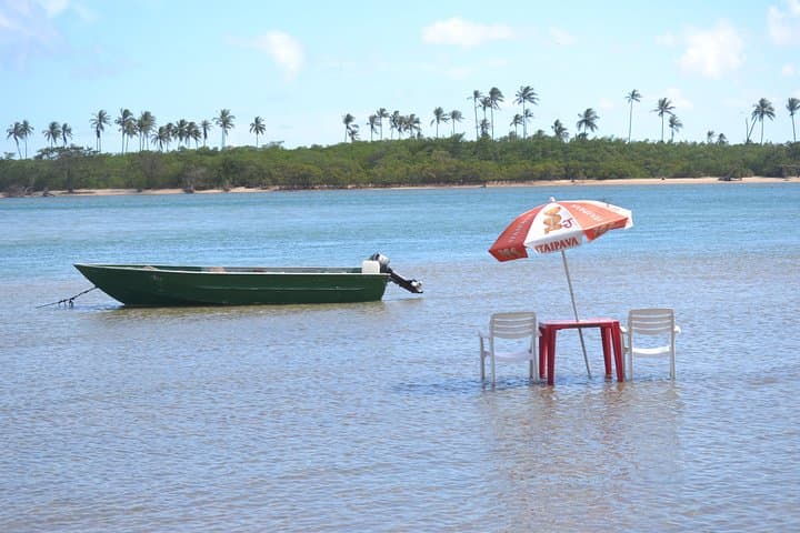 Praia do Forte SUV Beach Hopping on the Coconut Coast — Private 8‑Hour Coastal Tour photo 2