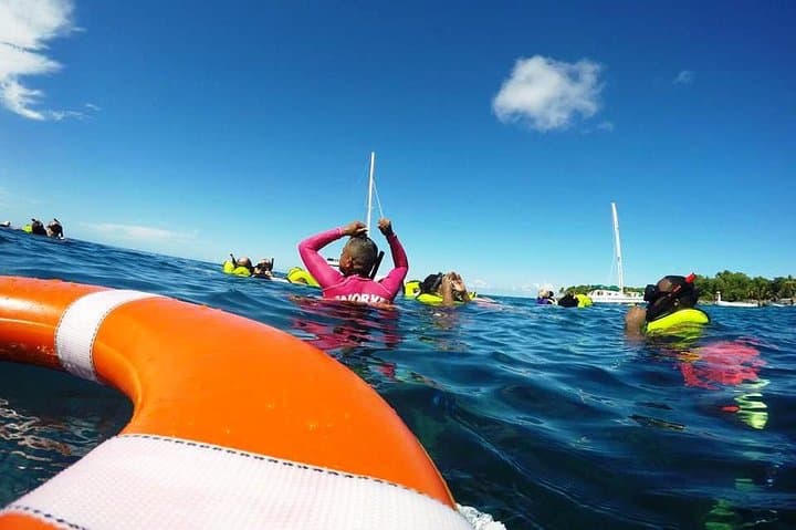 Sosúa Catamaran Snorkeling and Sailing Day Trip from Puerto Plata photo 6