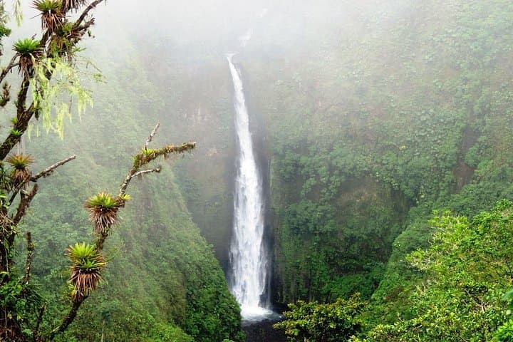 Arenal Volcano Full-Day Tour from San Jose — Waterfalls, Coffee & Hot Springs photo 1