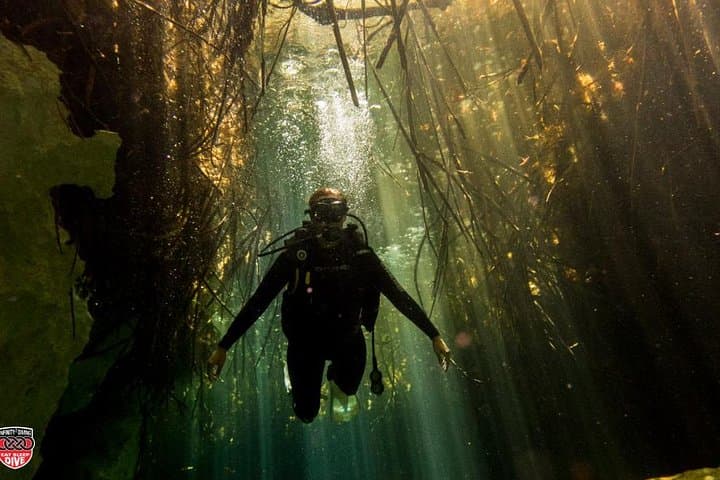 Discover Scuba Diving at Casa Cenote: Introductory PADI Experience in Tulum