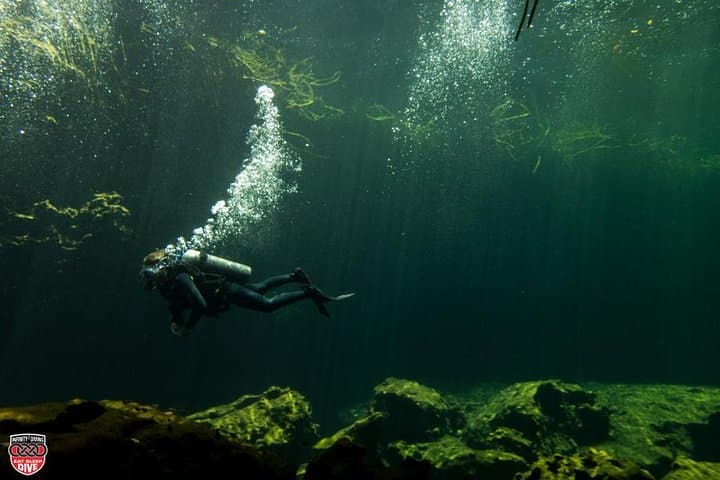 Discover Scuba Diving at Casa Cenote: Introductory PADI Experience in Tulum photo 3