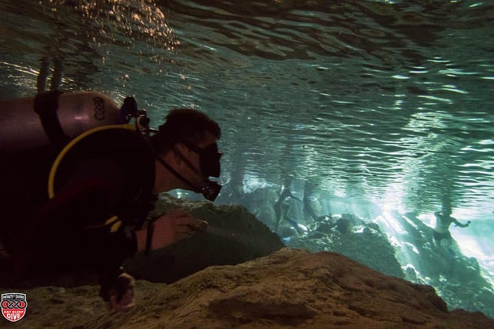 Three Cenote Dives in Tulum: Casa Cenote and Dos Ojos Explorer’s Guide