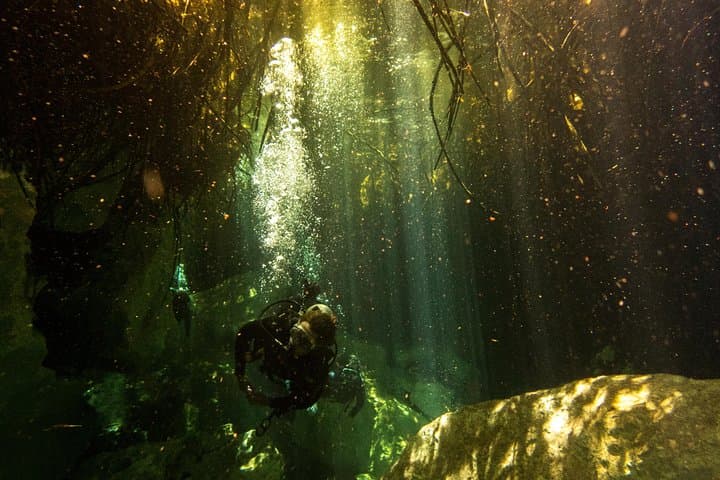 Three Cenote Dives in Tulum: Casa Cenote and Dos Ojos Explorer’s Guide photo 2