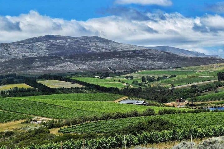 stellenbosch-winelands-guided-wine-tasting-tour photo 4