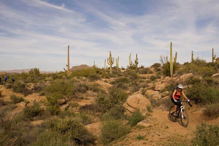 Half-Day Sonoran Desert Mountain Bike Tour in McDowell Sonoran Preserve photo 4