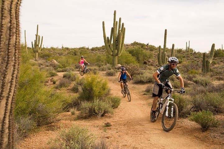 Half-Day Sonoran Desert Mountain Bike Tour in McDowell Sonoran Preserve photo 5