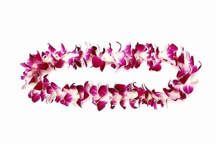 Orchid Airport Lei Greeting at Kahului Airport — What to Expect