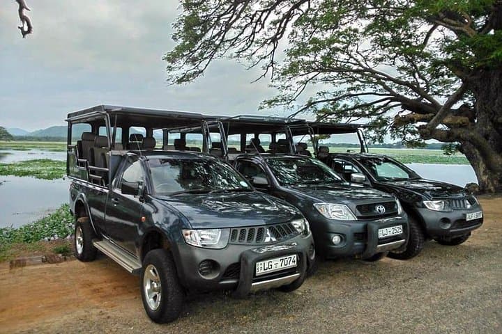 Udawalawe National Park Safari: Day Trip from Colombo to See Wild Elephants photo 4