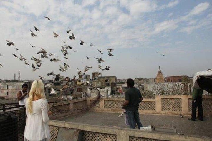 Kite Flying and Culture Walk in Old Delhi — Rickshaws, Kites & Historic Lanes photo 1