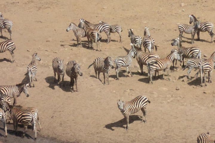 Amboseli National Park Full-Day Safari from Nairobi — Elephants, Big Game & Kilimanjaro Views photo 2