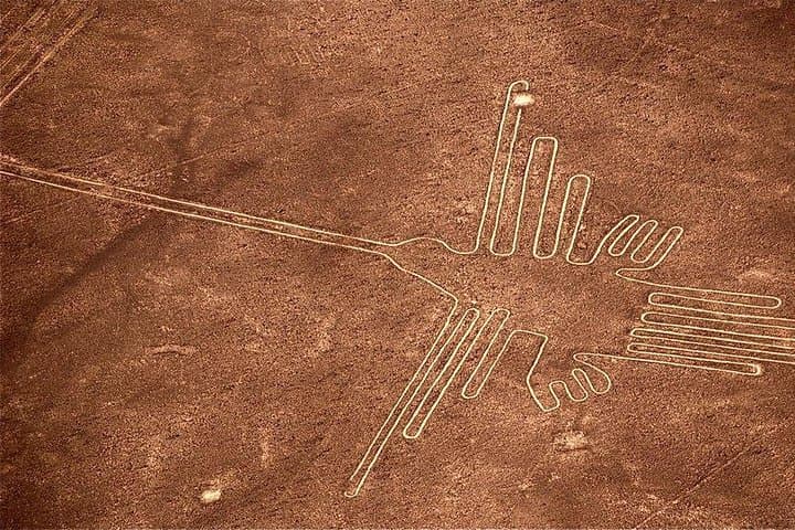 Ballestas Islands and Nazca Lines: Private Day Trip from Lima