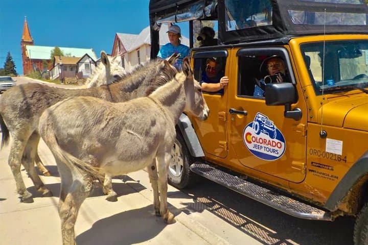 Gold Belt Scenic Byway Jeep Tour: Cañon City to Cripple Creek in a 95-Mile Jeep Excursion photo 6