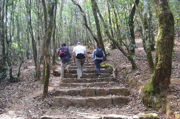 Jamacho Hill Day Hike — Kathmandu Valley Views & Himalayan Panoramas photo 2