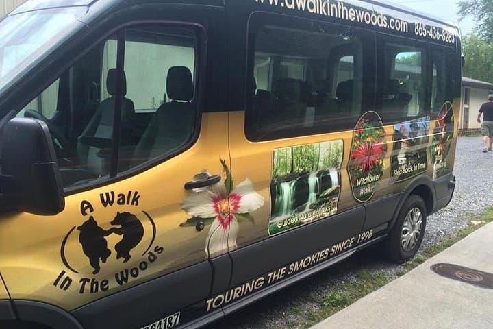 Smoky Mountain High Van Tour: Scenic Guided Drive from Gatlinburg photo 2