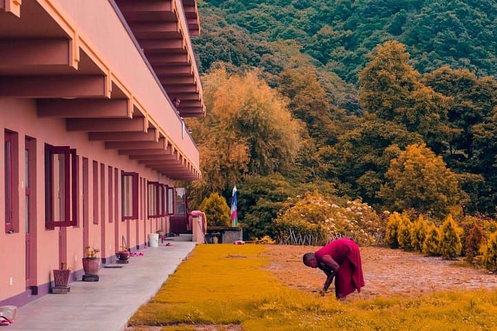 Shivapuri Peak Hike from Kathmandu with Budanilkantha & Kapan Monastery