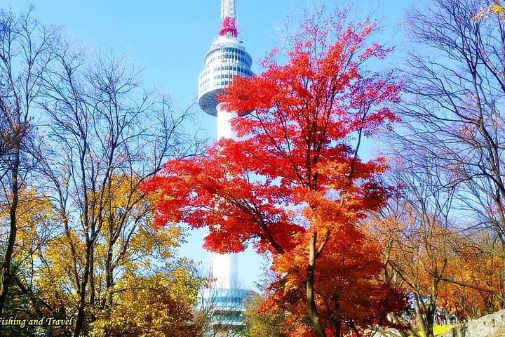 N Seoul Tower and Han River Private Tour — Seoul City Views & Sunset Drive