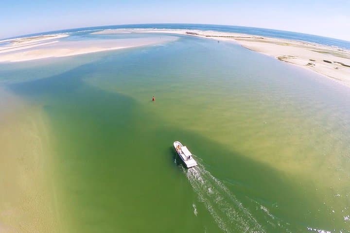 Ria Formosa 2-Hour Boat Tour to Armona Island photo 5