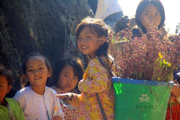 Ha Giang 3-Day Adventure: Dong Van, Ma Pi Leng & Du Gia National Park photo 2