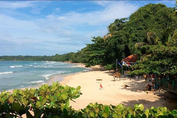Snorkel Cahuita Reef and Hike Punta Cahuita: Private Snorkeling & Rainforest Tour photo 3