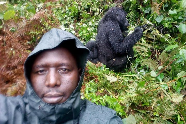 5-Day Gorilla Trekking and Ishasha Tree-Climbing Lions Safari