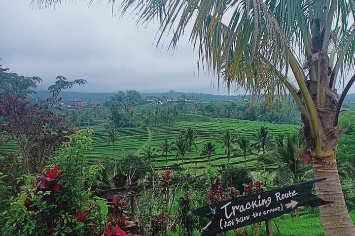 Full-Day Bali Circuit: Nungnung Waterfall, Ulun Danu, Jatiluwih & Tanah Lot Sunset photo 2