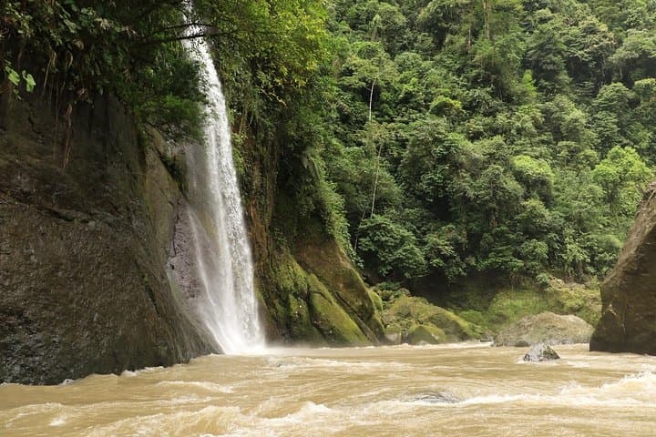 Pacuare River Whitewater Rafting: Classic Costa Rica Day Trip from Turrialba photo 2