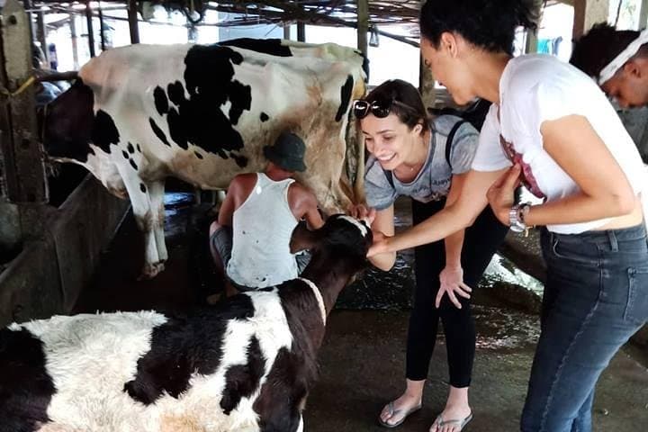 Farm-to-Table Cooking Day: Be a Farmer and Master Chef in Saigon