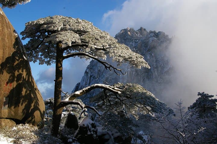 One-Day Mt. Huangshan (Yellow Mountain) Group Tour — No Shopping