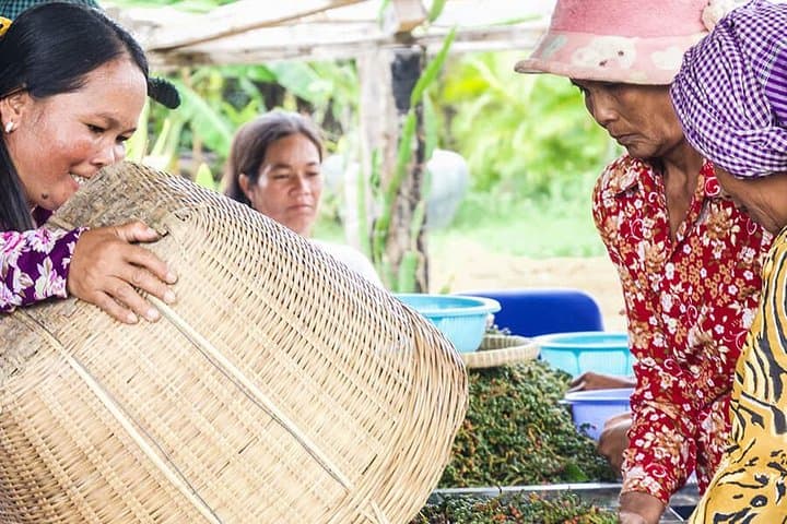Kampot Scooter Loop: Full-Day Pepper Farm & Coastal Countryside Ride photo 2