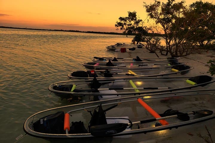 Clear Kayak Tour in Shell Key & Fort De Soto — Guided Crystal Kayaks photo 2