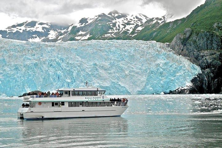 Evening Glacier Dinner Cruise to Aialik or Holgate from Seward photo 5