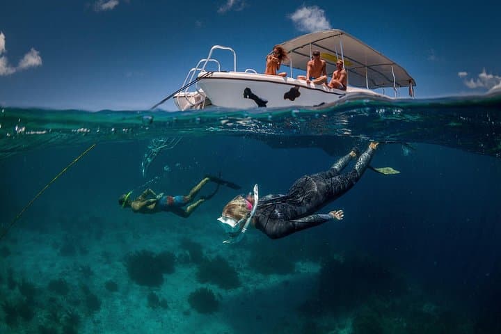 Double Dip Snorkel Trip in Bonaire: Two Reef Stops, Small Groups & Pro Photos