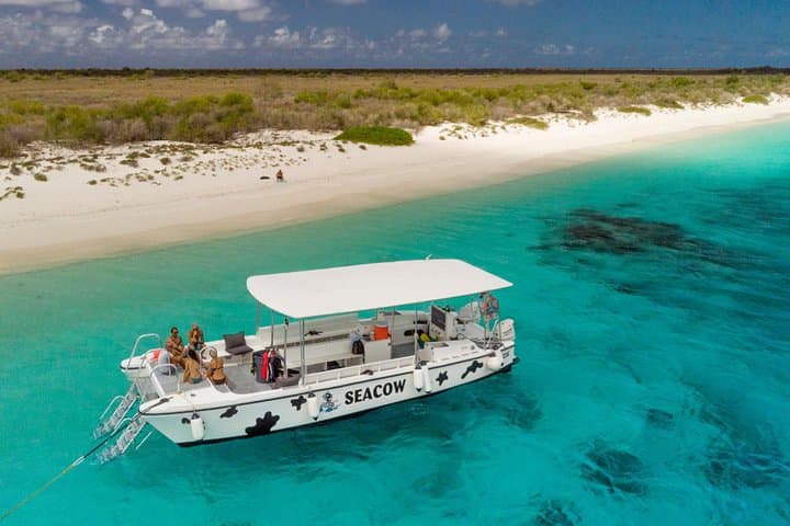 Double Dip Snorkel Trip in Bonaire: Two Reef Stops, Small Groups & Pro Photos photo 2