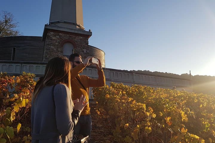 Private Day Tour in Champagne: Small-Producer Tastings from Reims & Épernay photo 2