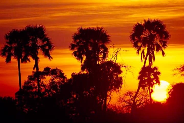 Ruaha National Park: 2-Day Budget Safari from Iringa photo 5