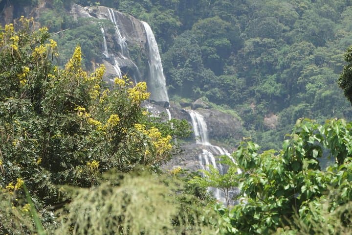 6-Day Southern Circuit Safari: Mikumi, Udzungwa & Selous Game Reserve photo 2