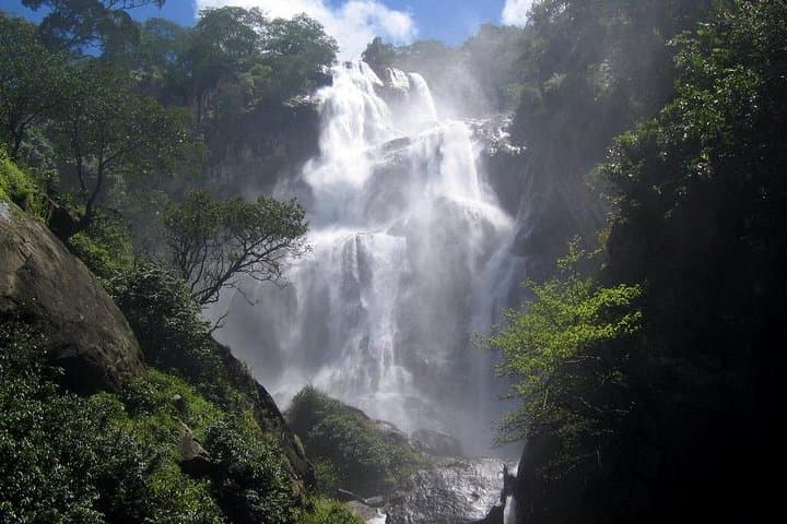 4-Day Mikumi & Udzungwa Safari: Game Drives, Sanje Falls Trek and Wildlife