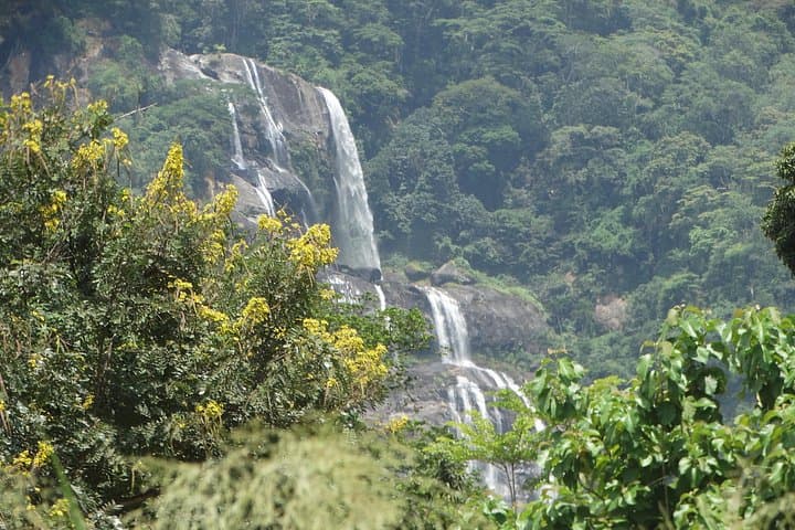 6-Day Tanzania Safari: Udzungwa Mountains, Ruaha & Mikumi National Parks