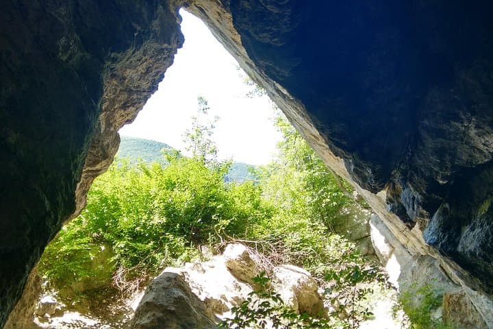 Braunsberg Mountain Private Hike from Vienna — Danube Views, Ruins & Celtic Palisade photo 3