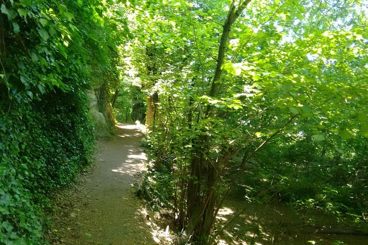 Braunsberg Mountain Private Hike from Vienna — Danube Views, Ruins & Celtic Palisade photo 5