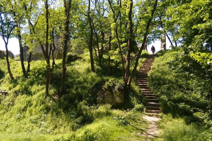 Braunsberg Mountain Private Hike from Vienna — Danube Views, Ruins & Celtic Palisade photo 6