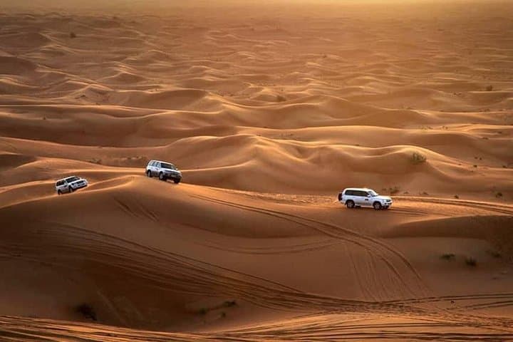 Morning Desert Safari Dubai: 4-Hour Dune Bashing, Camel Ride & Sandboarding